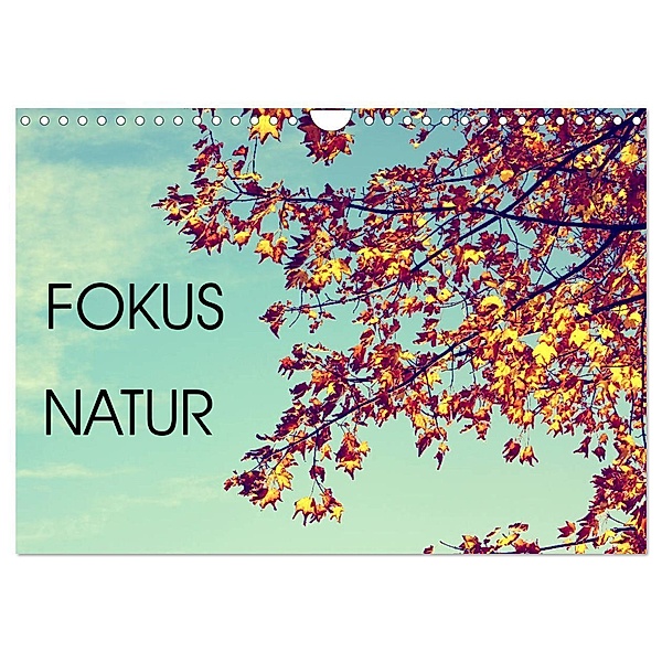 Focus Natur (Wandkalender 2025 DIN A4 quer), CALVENDO Monatskalender, Calvendo, Mandy Neuhof