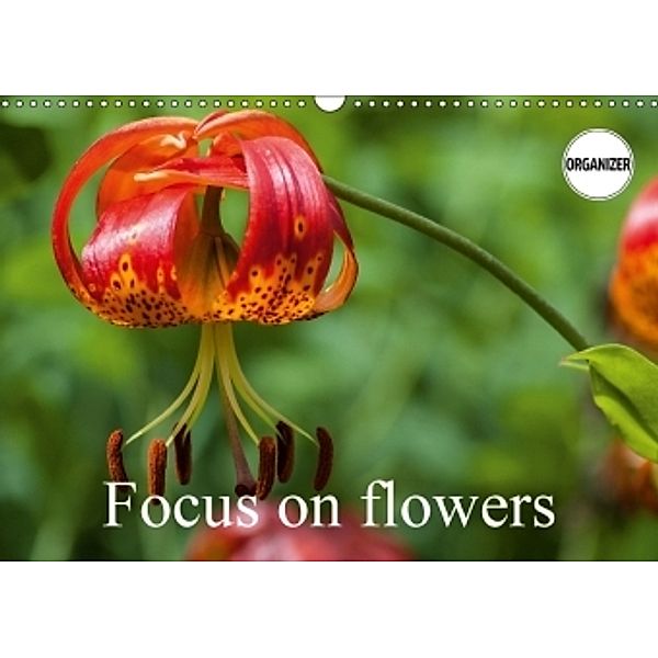 Focus on flowers (Wall Calendar 2017 DIN A3 Landscape), Alain Gaymard