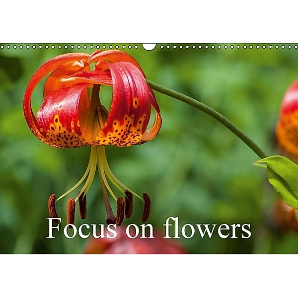 Focus on flowers (Wall Calendar 2017 DIN A3 Landscape), Alain Gaymard