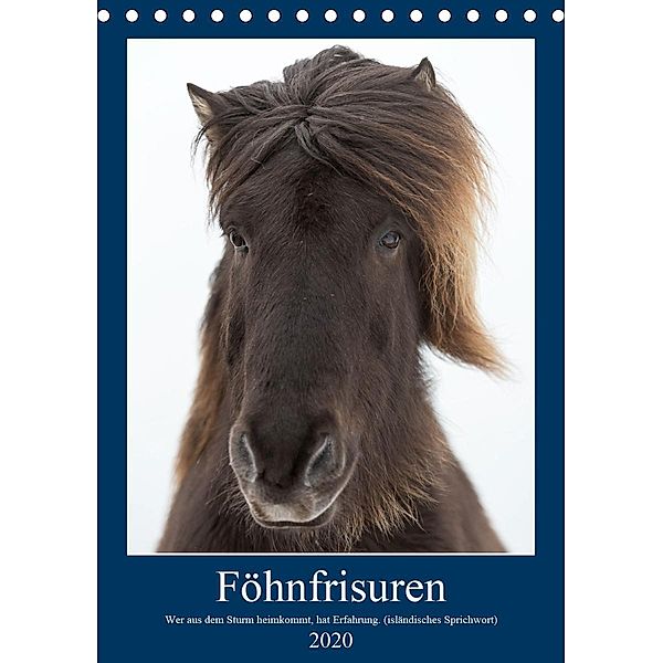 Föhnfrisuren (Tischkalender 2020 DIN A5 hoch), Anne-Barbara Bernhard