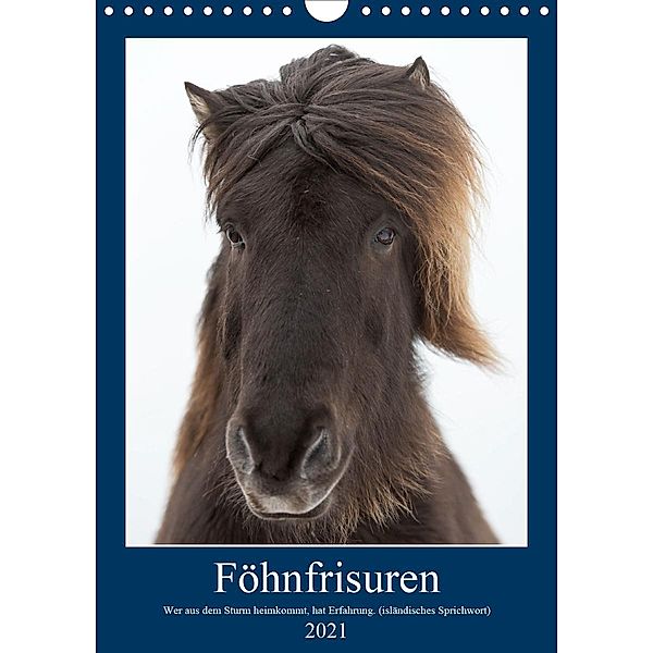 Föhnfrisuren (Wandkalender 2021 DIN A4 hoch), Anne-Barbara Bernhard