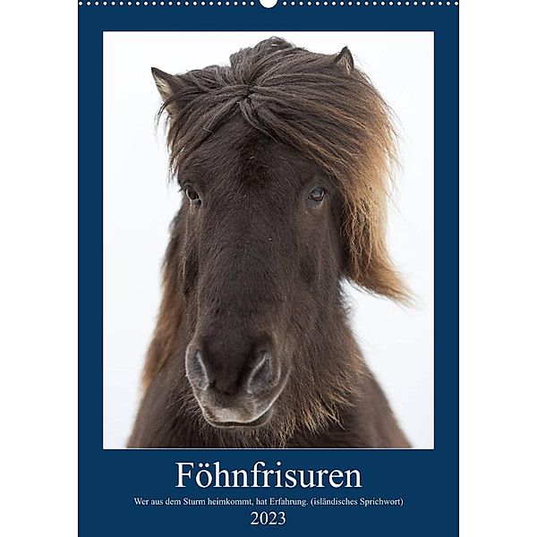 Föhnfrisuren (Wandkalender 2023 DIN A2 hoch), Anne-Barbara Bernhard