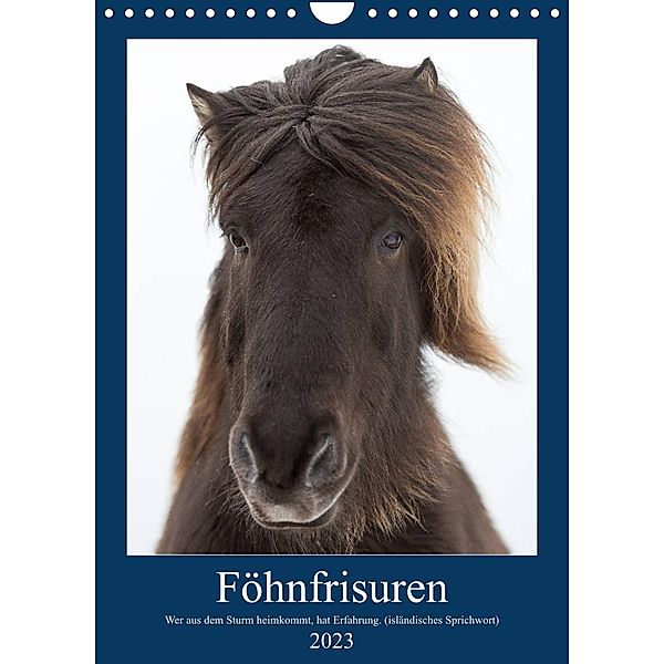 Föhnfrisuren (Wandkalender 2023 DIN A4 hoch), Anne-Barbara Bernhard