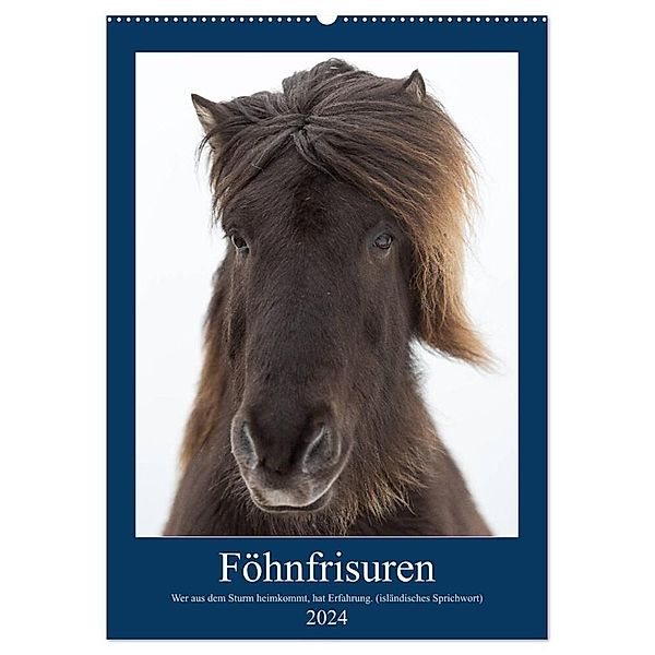 Föhnfrisuren (Wandkalender 2024 DIN A2 hoch), CALVENDO Monatskalender, Anne-Barbara Bernhard