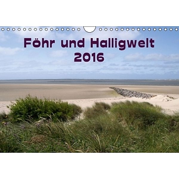 Föhr und Halligwelt 2016 (Wandkalender 2016 DIN A4 quer), Doris Jerneinzick