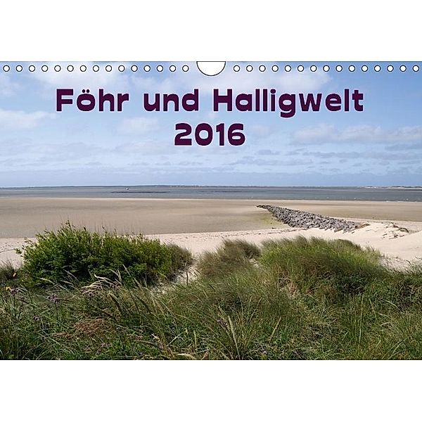 Föhr und Halligwelt 2017 (Wandkalender 2017 DIN A4 quer), Doris Jerneinzick