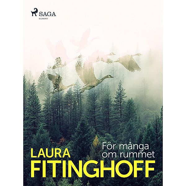 För många om rummet, Laura Fitinghoff