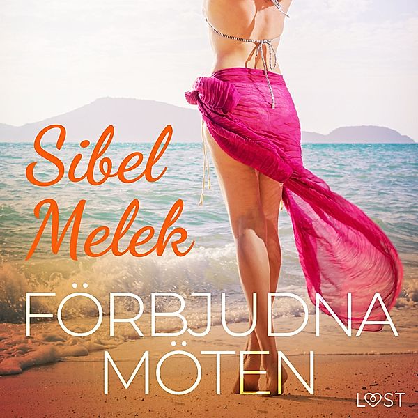 Förbjudna möten - erotisk novell, Sibel Melek