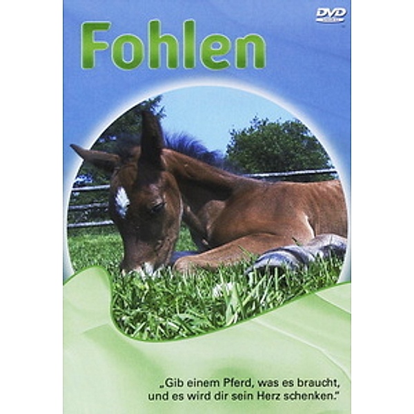 Fohlen, 1 DVD, Diverse Interpreten