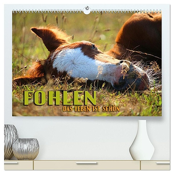 Fohlen - das Leben ist schön (hochwertiger Premium Wandkalender 2024 DIN A2 quer), Kunstdruck in Hochglanz, Renate Utz