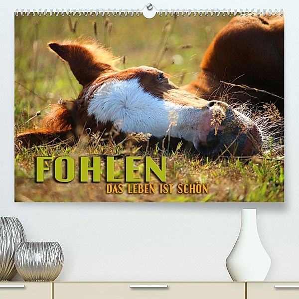 Fohlen - das Leben ist schön (Premium, hochwertiger DIN A2 Wandkalender 2023, Kunstdruck in Hochglanz), Renate Utz