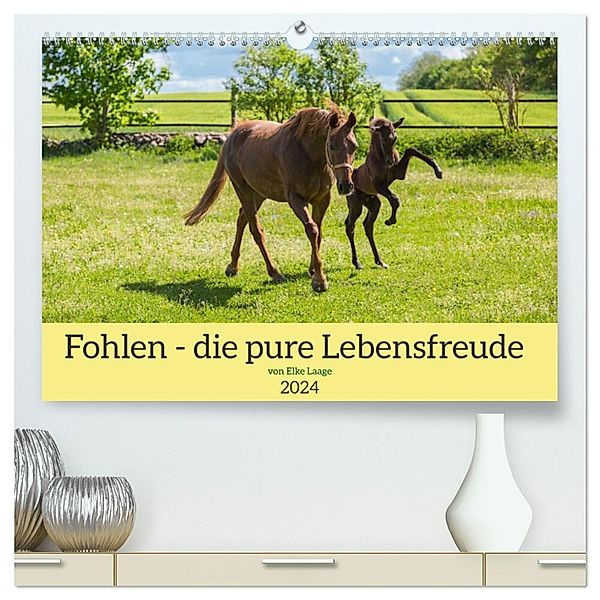 Fohlen - die pure Lebensfreude (hochwertiger Premium Wandkalender 2024 DIN A2 quer), Kunstdruck in Hochglanz, Elke Laage