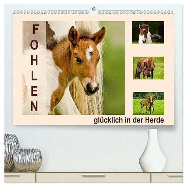 Fohlen, glücklich in der Herde (hochwertiger Premium Wandkalender 2025 DIN A2 quer), Kunstdruck in Hochglanz, Calvendo, Brinja Schmidt