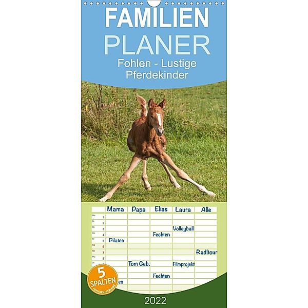 Fohlen - Lustige Pferdekinder - Familienplaner hoch (Wandkalender 2022 , 21 cm x 45 cm, hoch), Meike Bölts