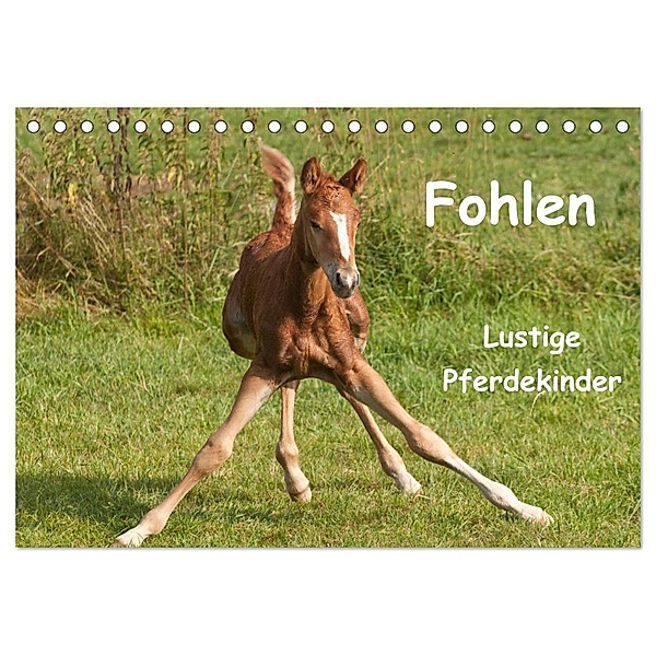 Fohlen - Lustige Pferdekinder (Tischkalender 2024 DIN A5 quer), CALVENDO Monatskalender, Meike Bölts