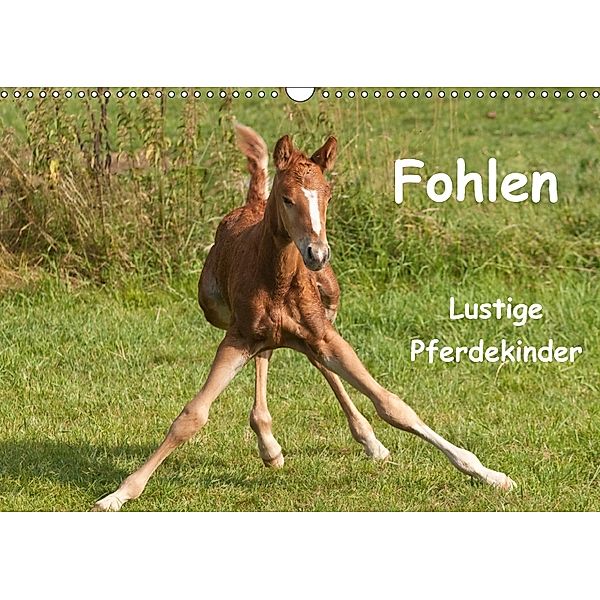 Fohlen - Lustige Pferdekinder (Wandkalender 2018 DIN A3 quer), Meike Bölts