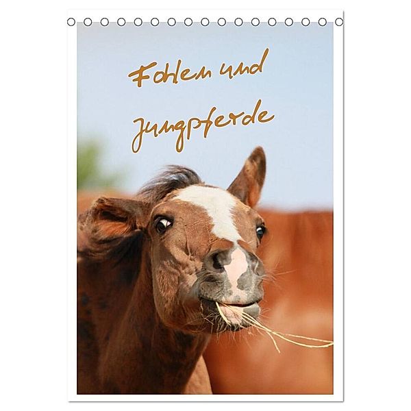 Fohlen und Jungpferde (Tischkalender 2024 DIN A5 hoch), CALVENDO Monatskalender, Barbara Mielewczyk