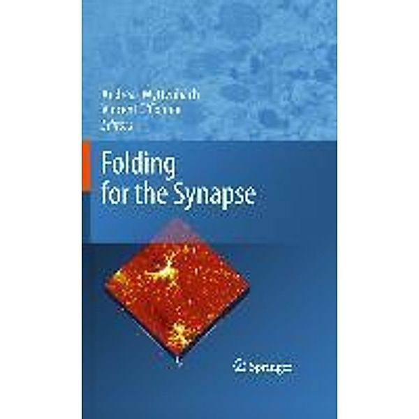 Folding for the Synapse, Vincent O'Connor, Andreas Wyttenbach