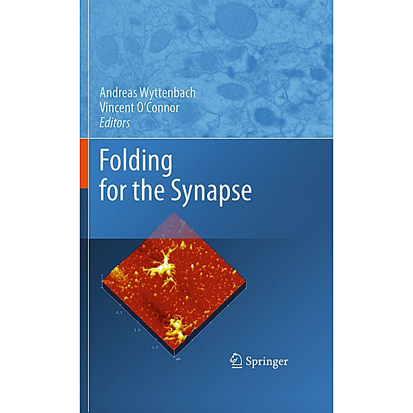 Folding for the Synapse