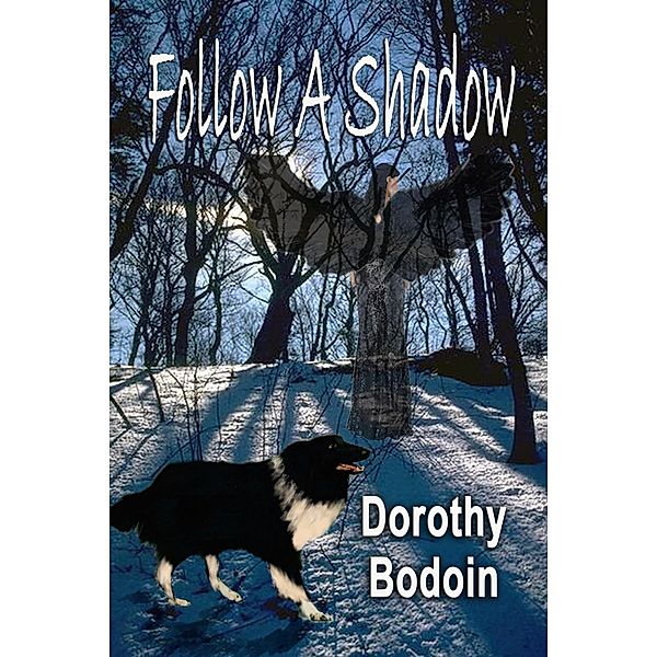 Follow a Shadow (A Foxglove Corners Mystery, #14) / A Foxglove Corners Mystery, Dorothy Bodoin