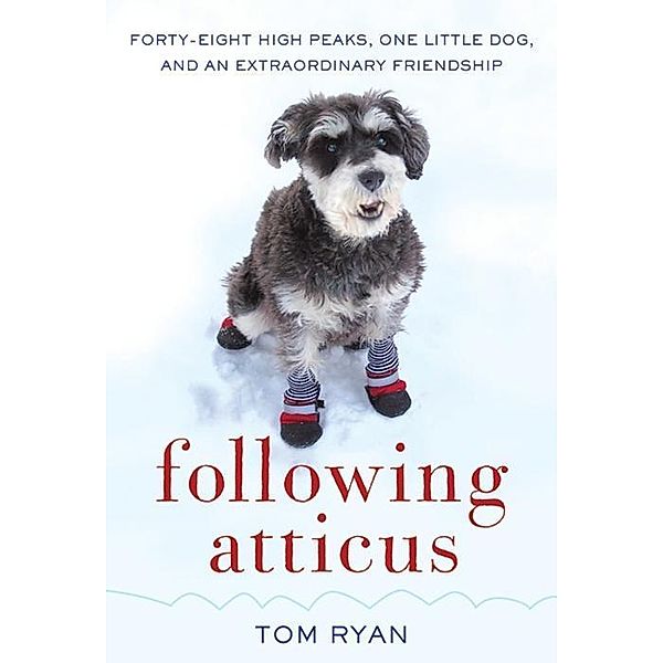 Following Atticus, Tom Ryan