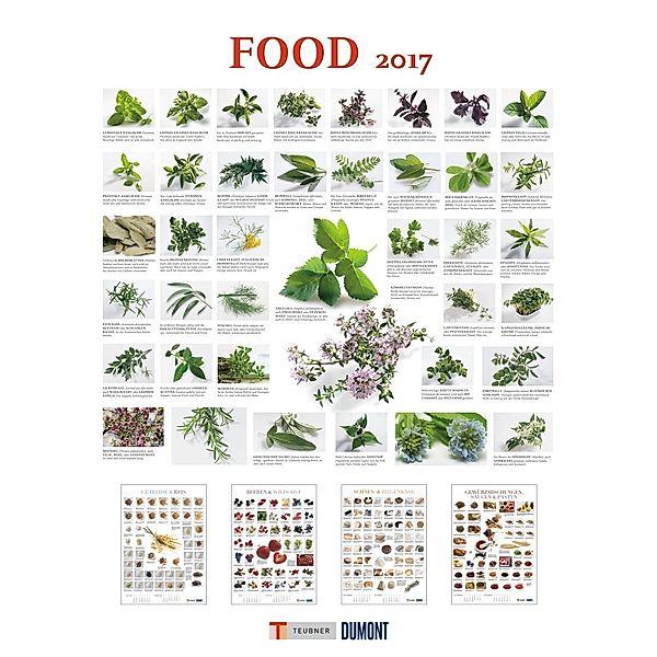 Food 2017