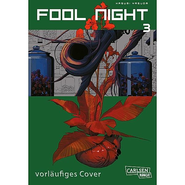 Fool Night Bd.3, Kasumi Yasuda