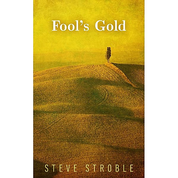 Fool's Gold, Steve Stroble