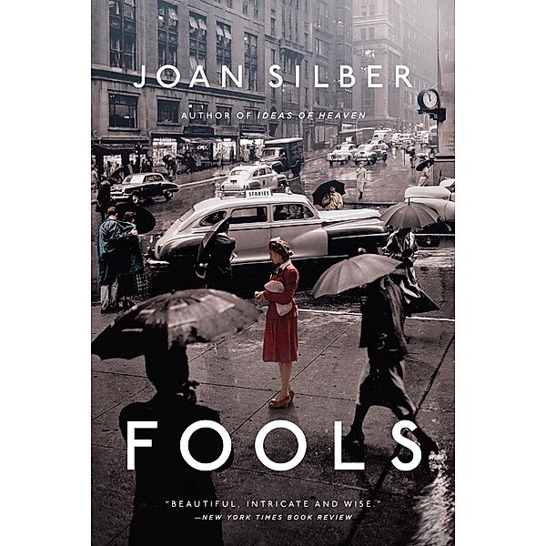 Fools: Stories, Joan Silber