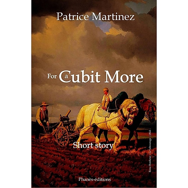 FOR A CUBIT MORE, Patrice Martinez, Phanès