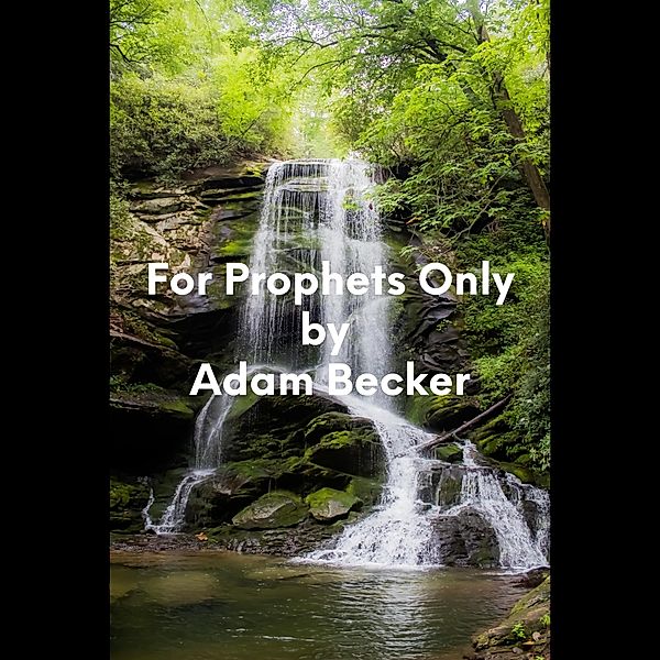 For Prophets Only, Adam Becker