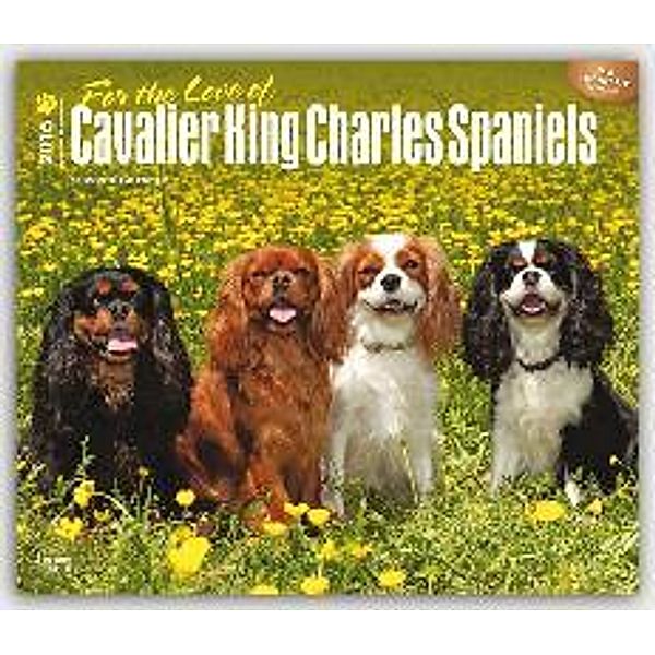 For the Love of Cavalier King Charles Spaniels 2016