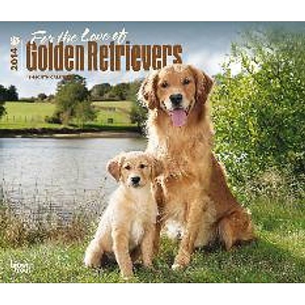 For the Love of Golden Retrievers