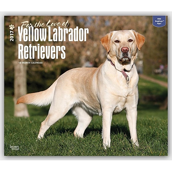 For the Love of Yellow Labrador Retriever 2017