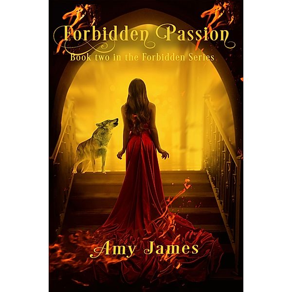 Forbidden Passion (The Forbidden Series, #2) / The Forbidden Series, Amy James