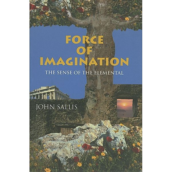 Force of Imagination / Studies in Continental Thought, John Sallis