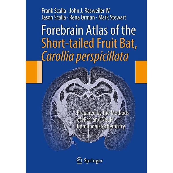 Forebrain Atlas of the Short-tailed Fruit Bat, Carollia perspicillata, Frank Scalia, John J Rasweiler IV, Jason Scalia, Rena Orman, Mark Stewart