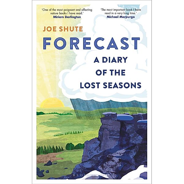 Forecast, Joe Shute