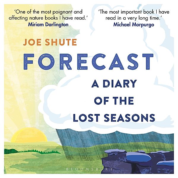 Forecast, Joe Shute