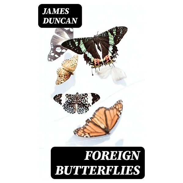 Foreign Butterflies, James Duncan