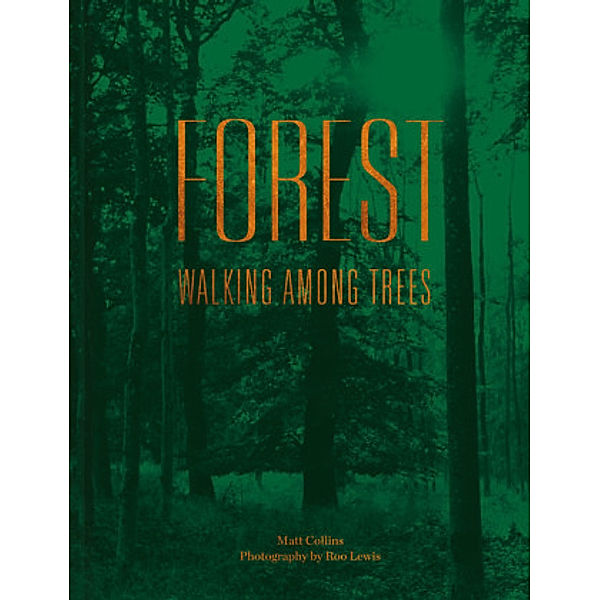 Forest, Matt Collins