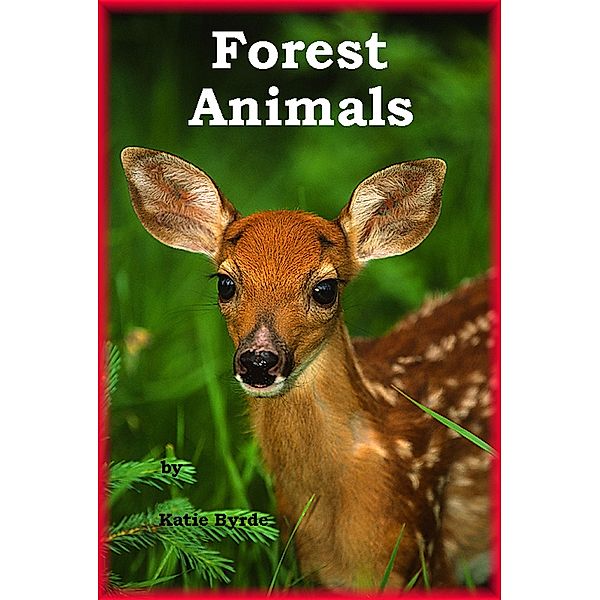 Forest Animals / Katie Byrde, Katie Byrde