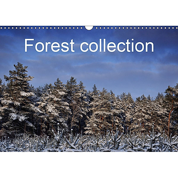 Forest collection (Wall Calendar 2019 DIN A3 Landscape), Marek Wasiel