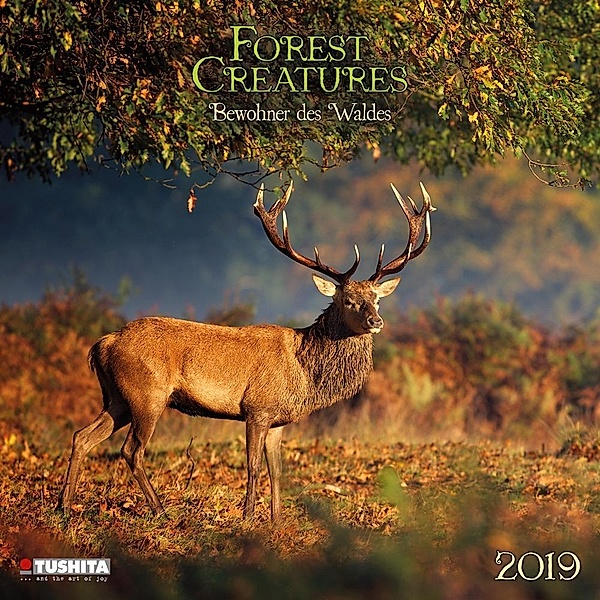 Forest Creatures 2019