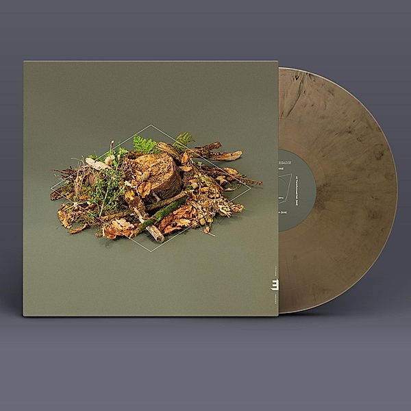 Forest Floor (Vinyl), Fergus McCreadie