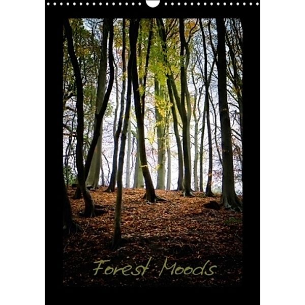 Forest Moods (Wall Calendar 2017 DIN A3 Portrait), Robert Wood