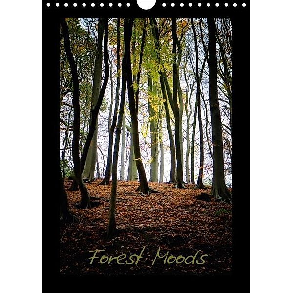Forest Moods (Wall Calendar 2017 DIN A4 Portrait), Robert Wood