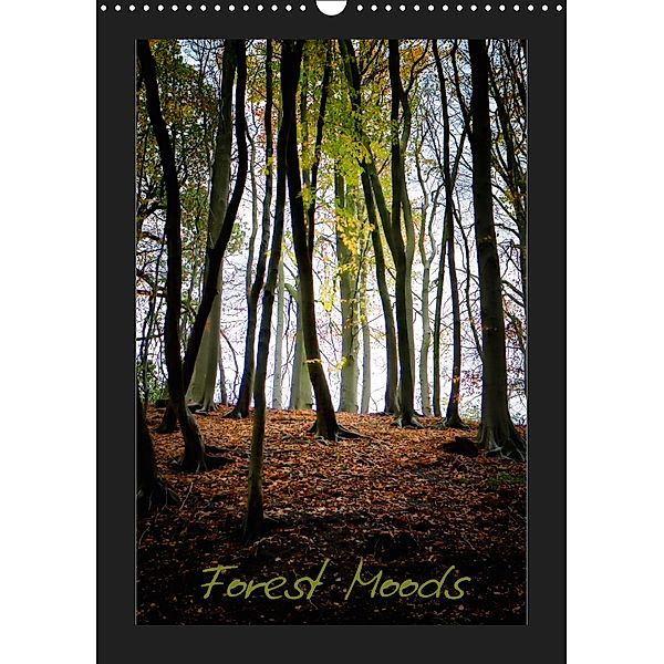 Forest Moods (Wall Calendar 2019 DIN A3 Portrait), Robert Wood