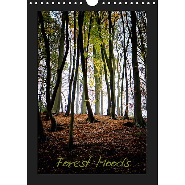 Forest Moods (Wall Calendar 2019 DIN A4 Portrait), Robert Wood