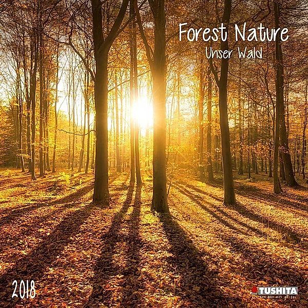 Forest Nature 2018